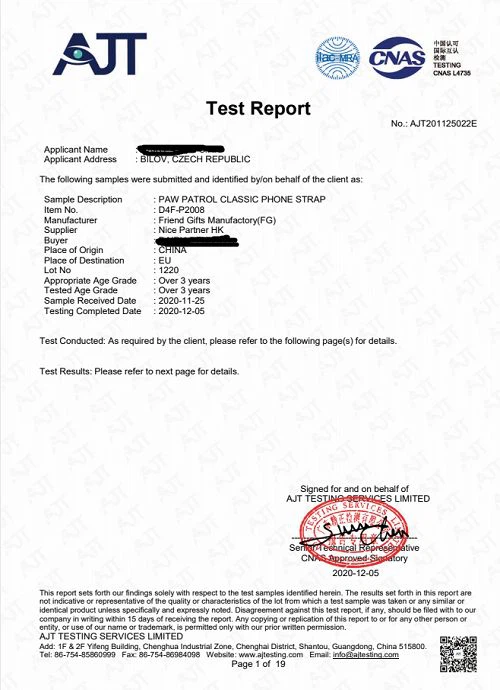 BS Testing Report